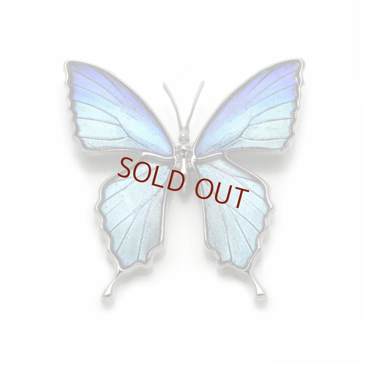 タミラスムラサキシジミ 蝶 ブローチ兼ペンダント(シルバー)【Psyche|プシュケ】