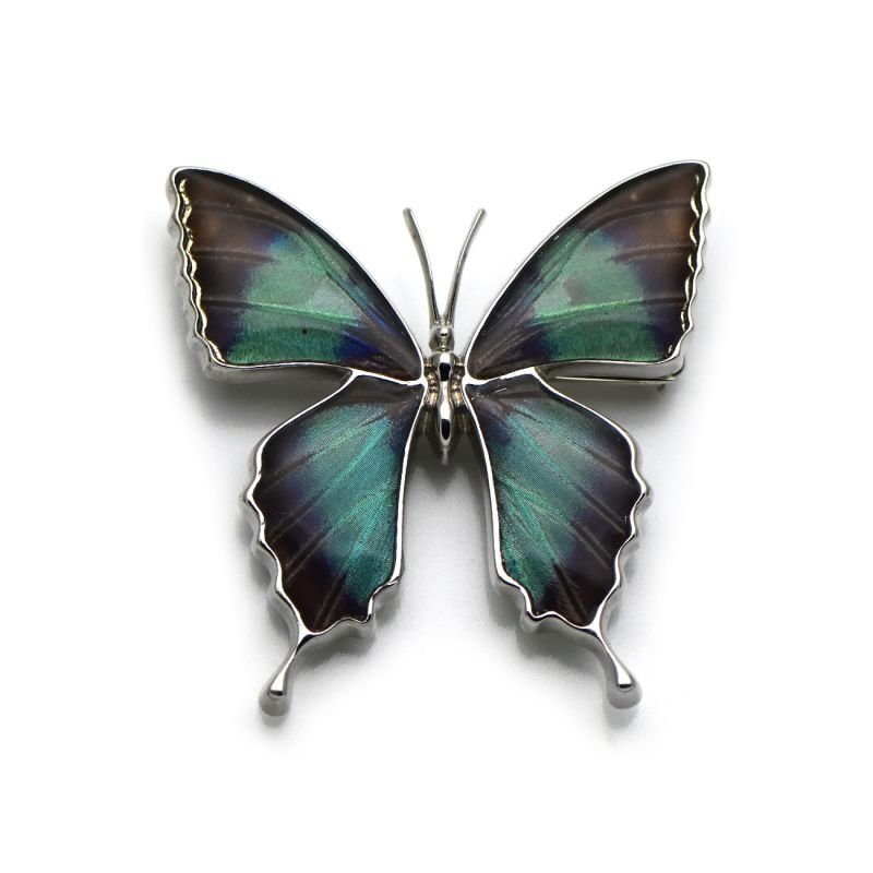 蝶ブローチ ドクソコパチェルビナ 蝶の翅 ブローチ兼ペンダント シルバー925