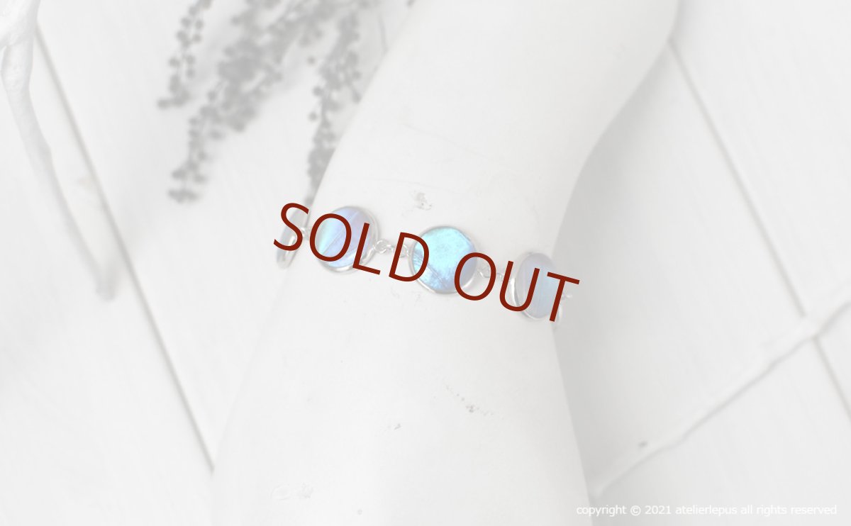 カキカモルフォ / ゼフィリティスモルフォ 蝶の翅 7珠 ブレスレット(シルバー)【Psyche|プシュケ】