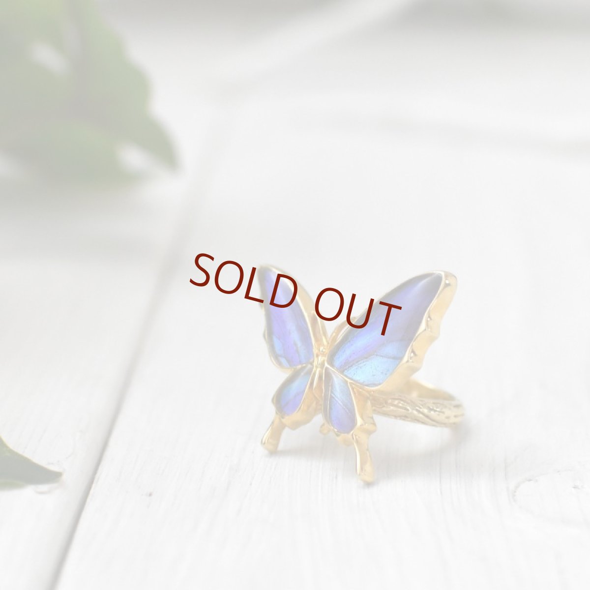 タミラスムラサキシジミ 蝶の翅 リング (ゴールド)【Psyche|プシュケ】