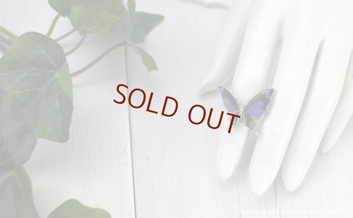 ミイロタイマイ 蝶の翅 リング (シルバー)【Psyche|プシュケ】