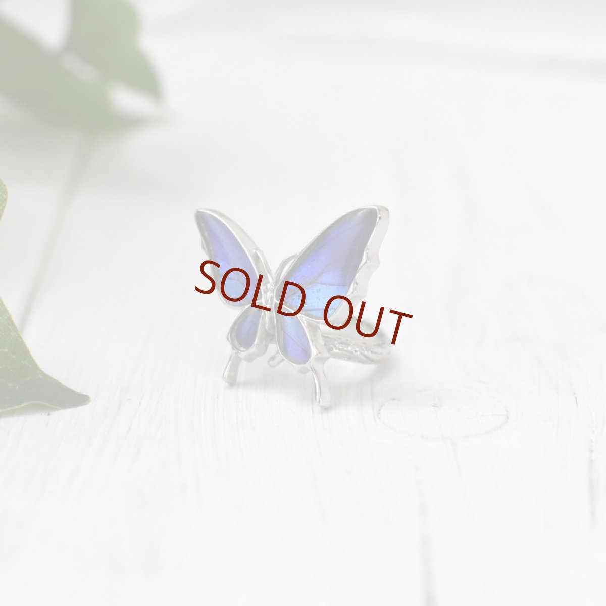 タミラスムラサキシジミ 蝶の翅 リング (シルバー)【Psyche|プシュケ】