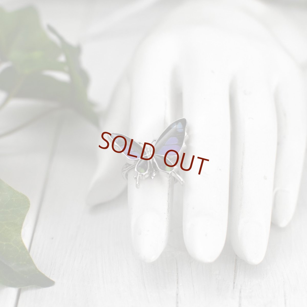 ミイロタイマイ 蝶の翅 リング (シルバー)【Psyche|プシュケ】