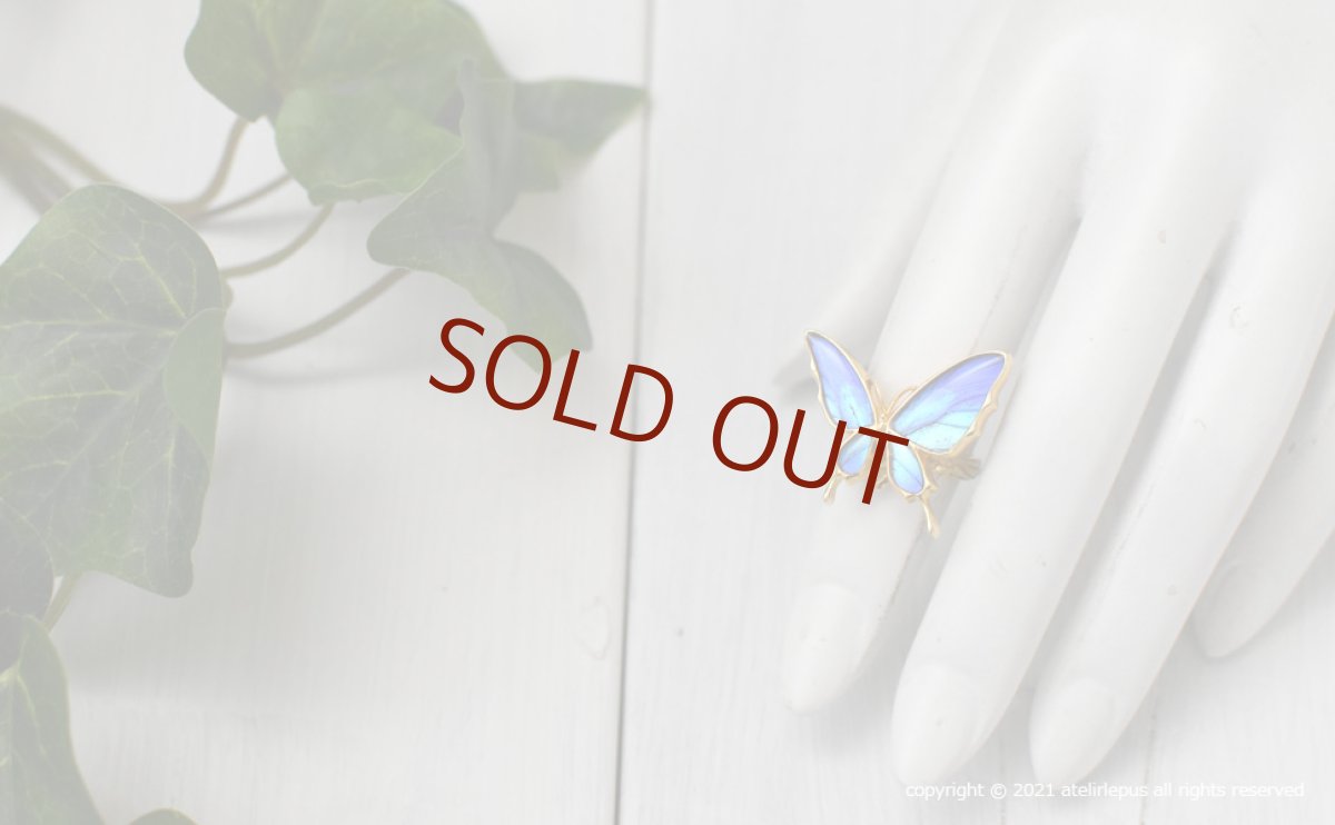 タミラスムラサキシジミ 蝶の翅 リング (ゴールド)【Psyche|プシュケ】