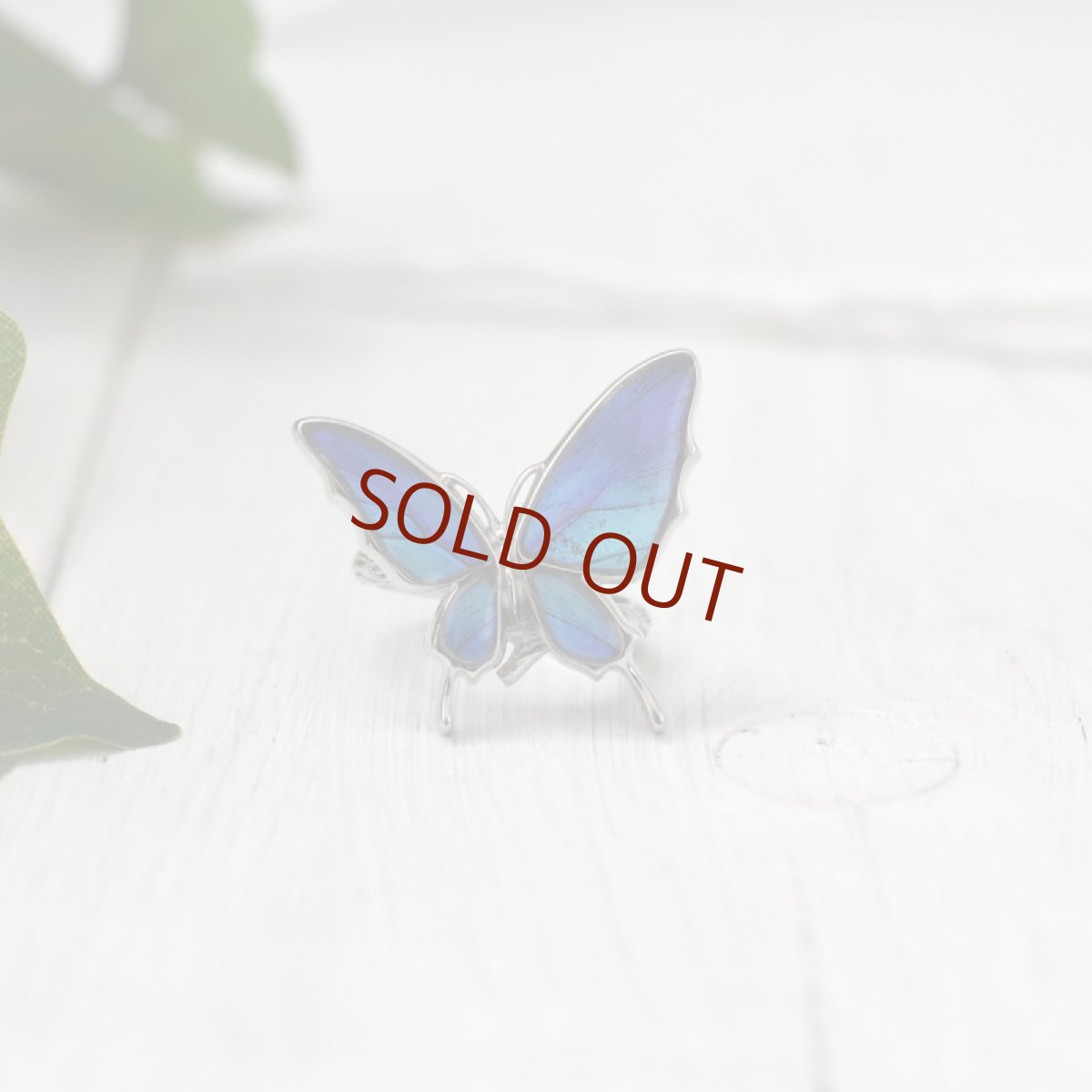 タミラスムラサキシジミ 蝶の翅 リング (シルバー)【Psyche|プシュケ】