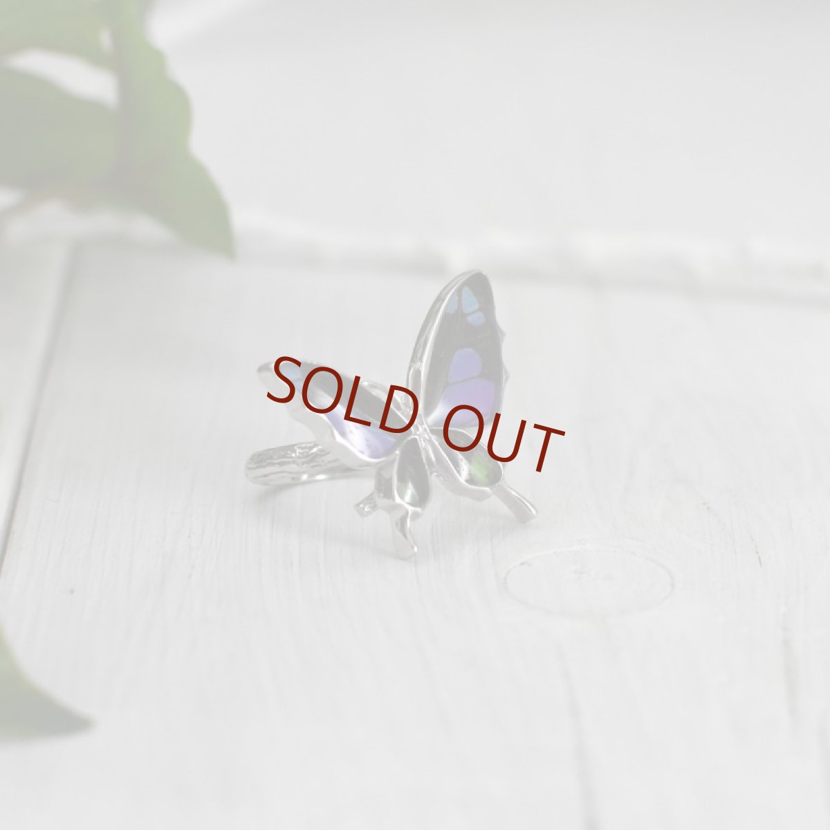 ミイロタイマイ 蝶の翅 リング (シルバー)【Psyche|プシュケ】