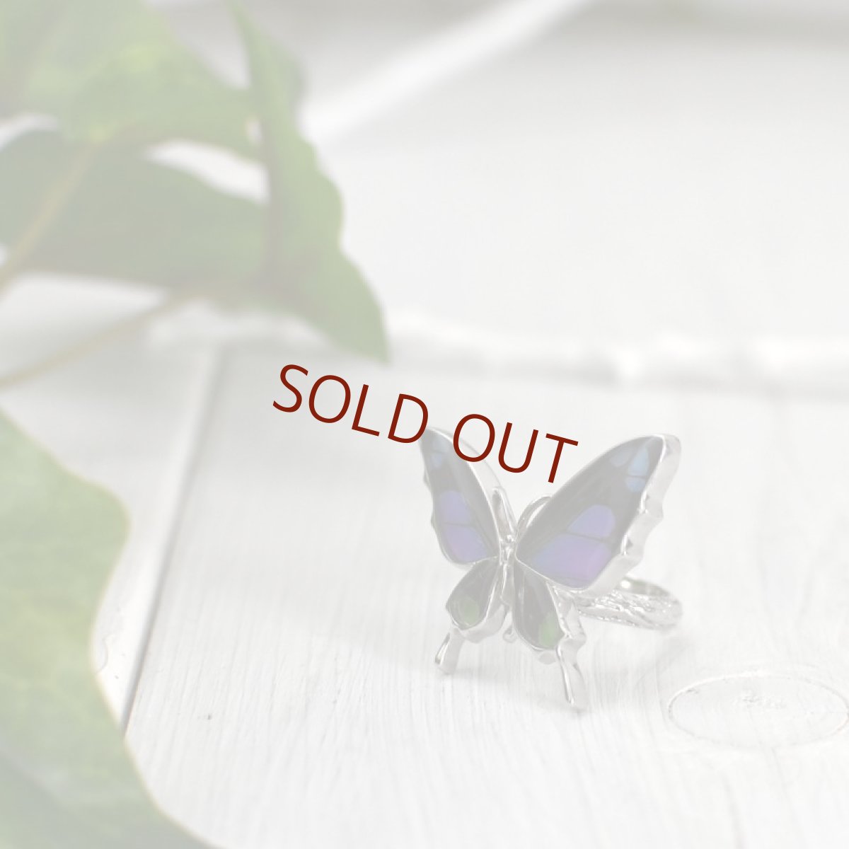 ミイロタイマイ 蝶の翅 リング (シルバー)【Psyche|プシュケ】