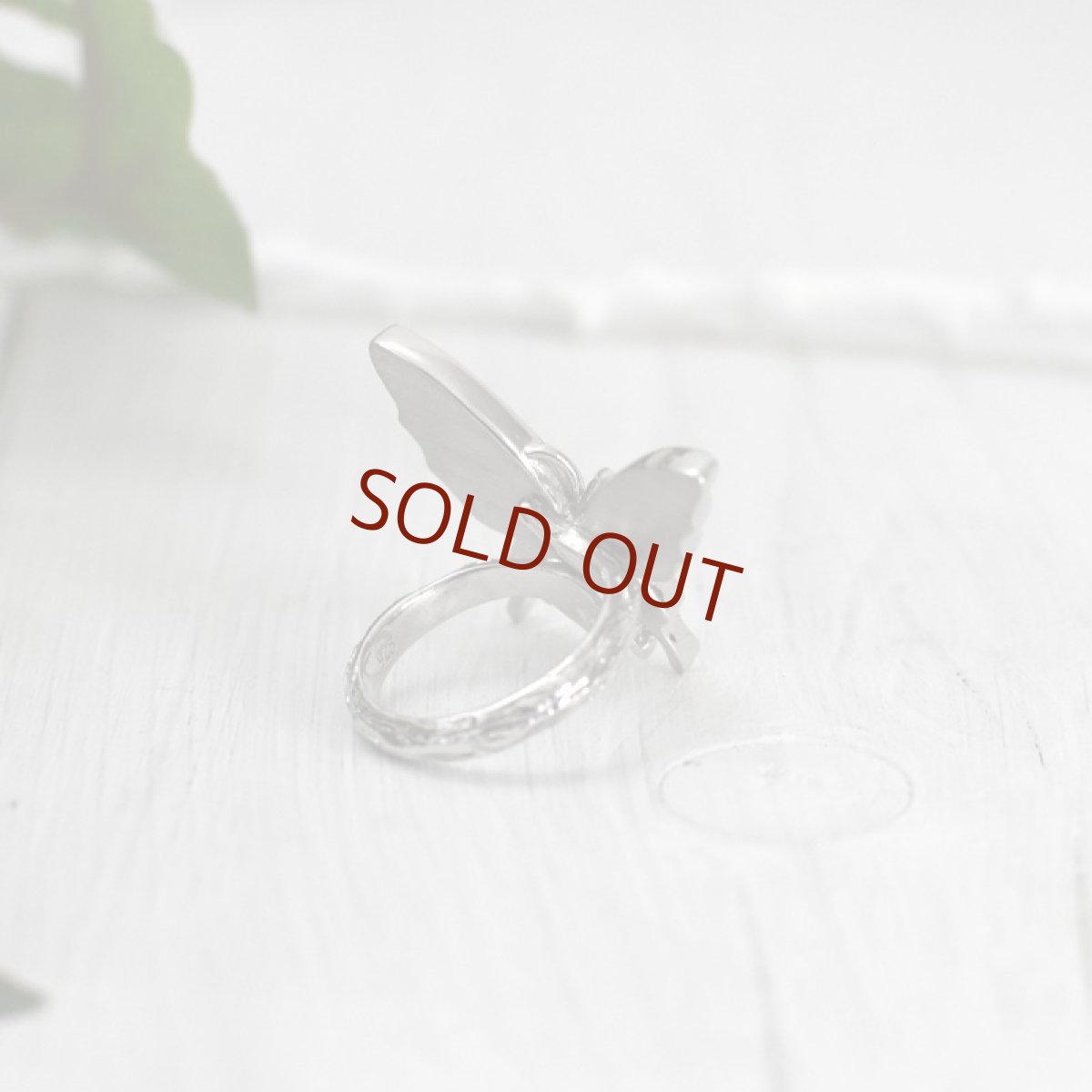 ミイロタイマイ 蝶の翅 リング (シルバー)【Psyche|プシュケ】