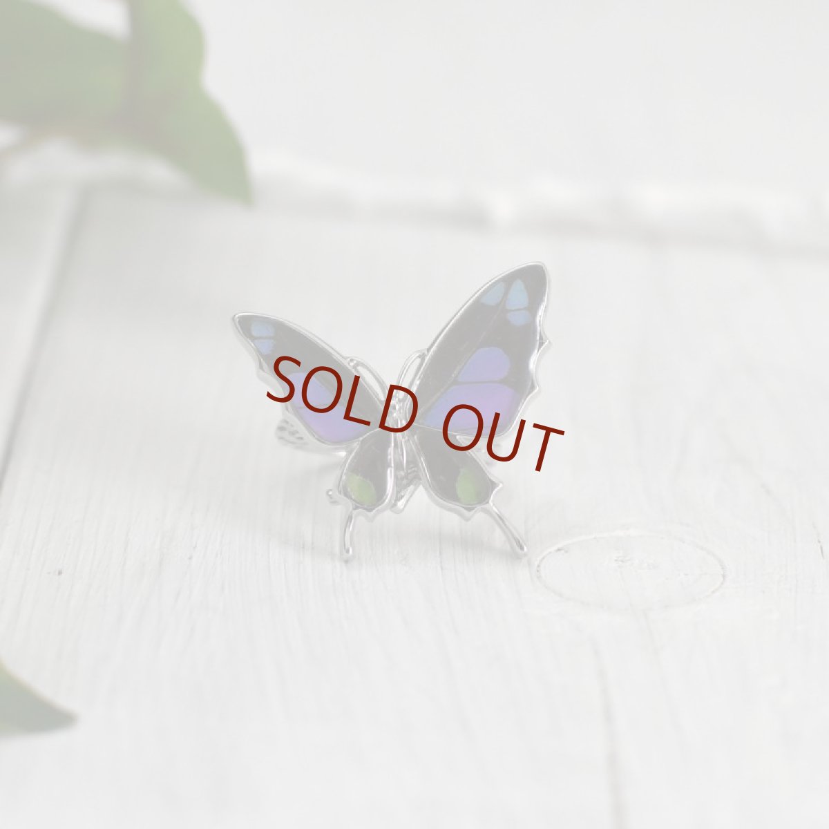 ミイロタイマイ 蝶の翅 リング (シルバー)【Psyche|プシュケ】