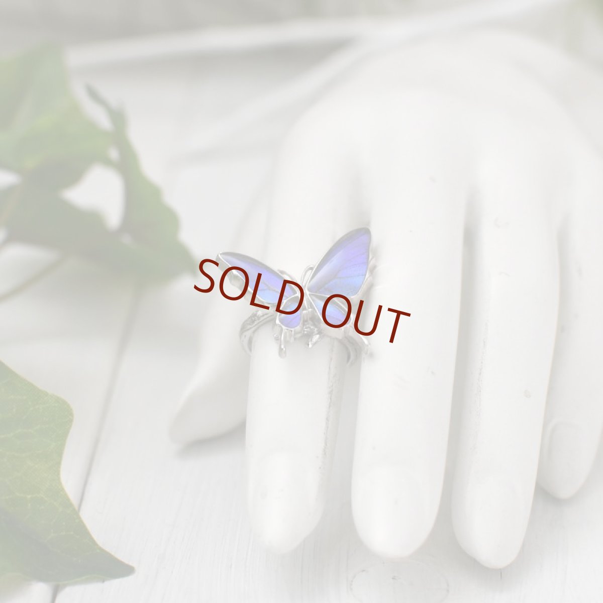 タミラスムラサキシジミ 蝶の翅 リング (シルバー)【Psyche|プシュケ】