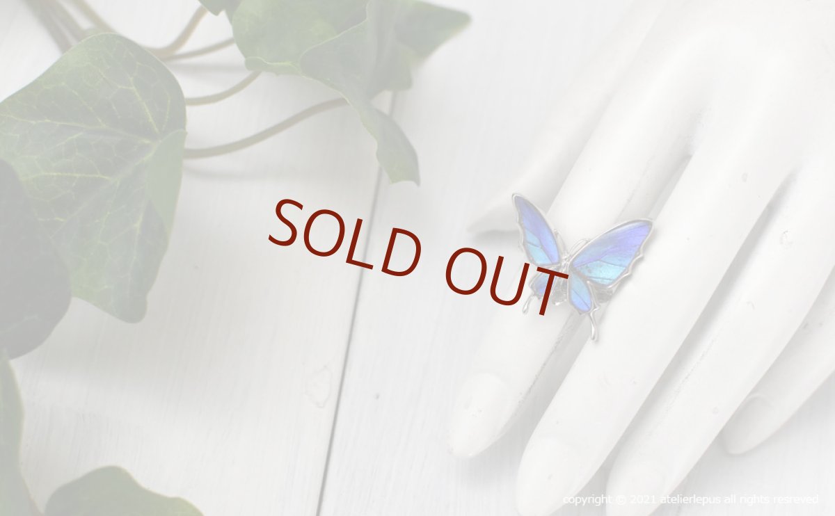 タミラスムラサキシジミ 蝶の翅 リング (シルバー)【Psyche|プシュケ】