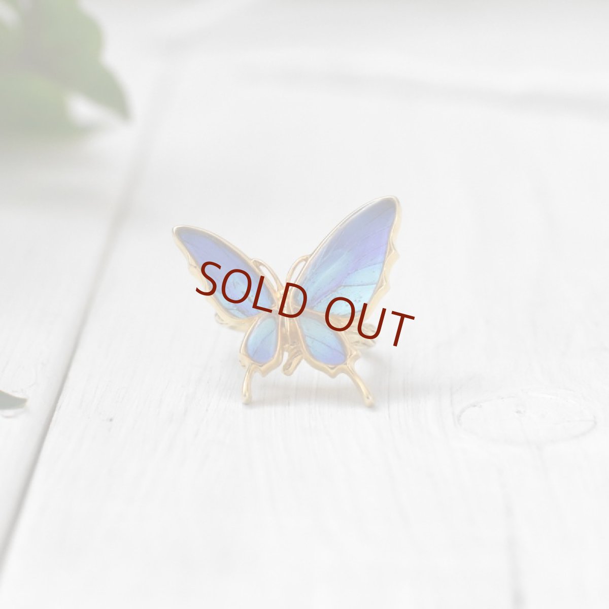 タミラスムラサキシジミ 蝶の翅 リング (ゴールド)【Psyche|プシュケ】