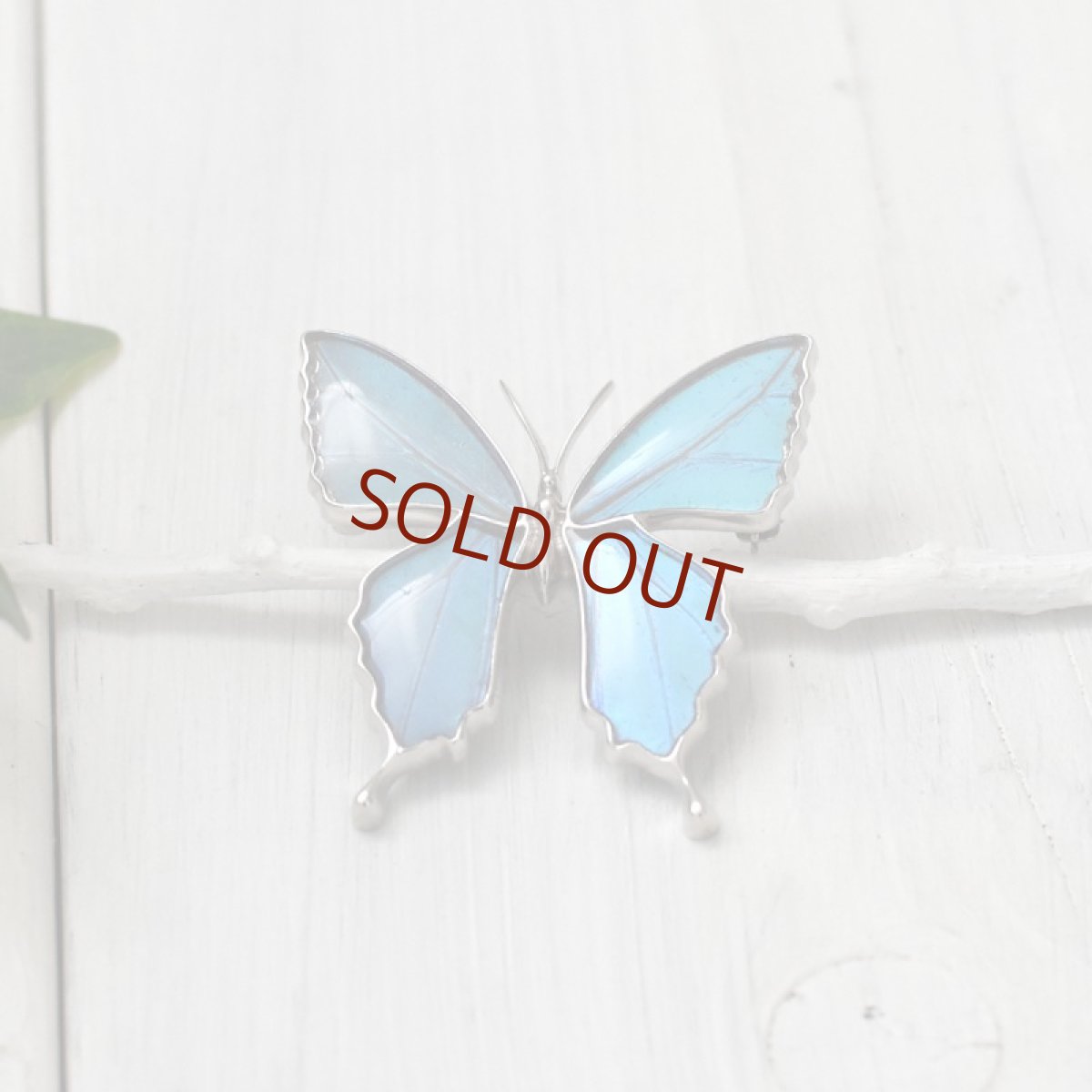 ゼフィリティスモルフォ 蝶 ブローチ兼ペンダント(シルバー)【Psyche|プシュケ】