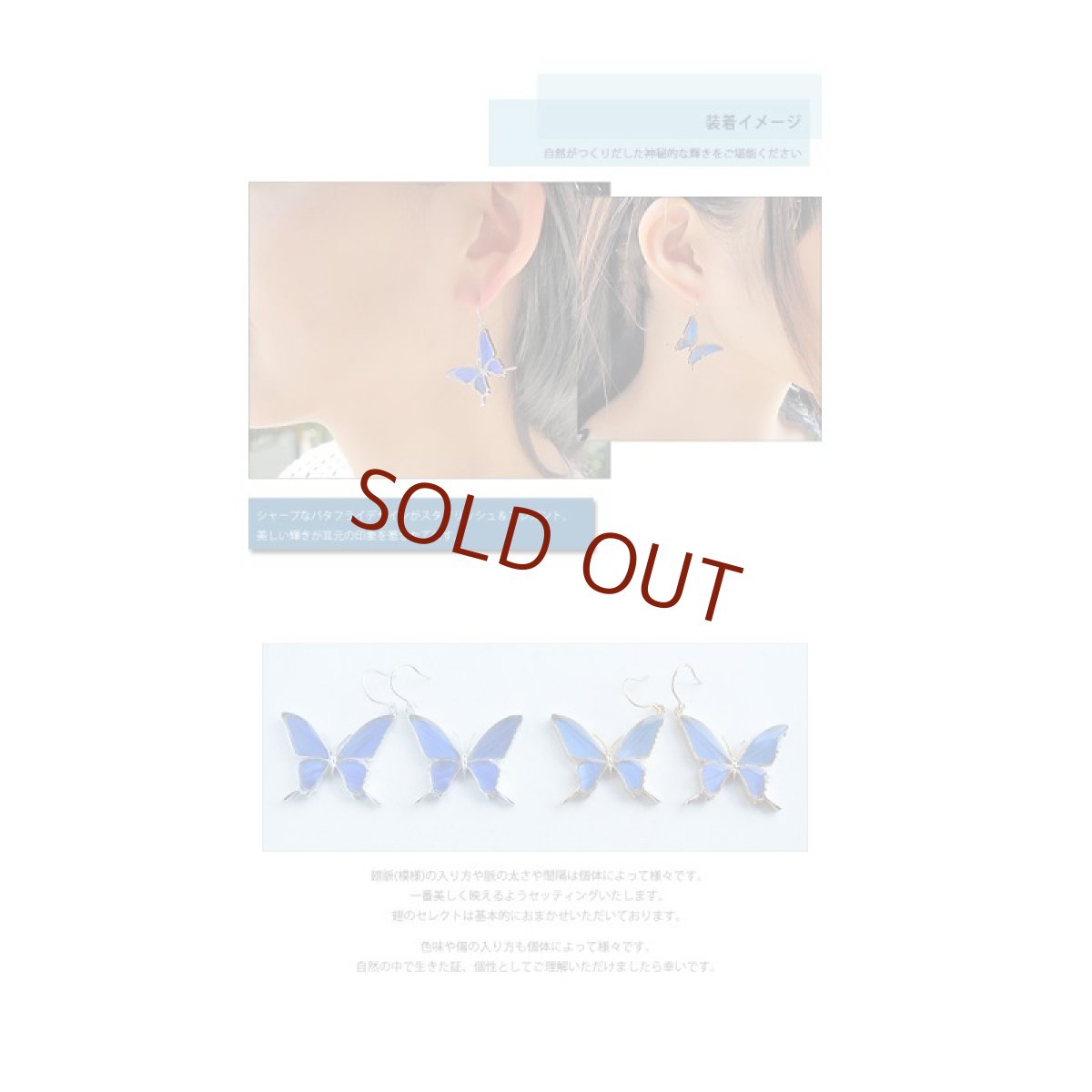 カキカモルフォ 蝶の翅 シルバー925 ピアス【Psyche|プシュケ】