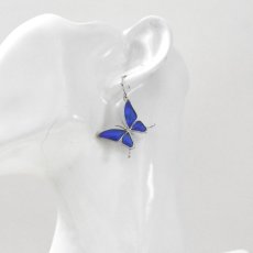 カキカモルフォ 蝶の翅 シルバー925 ピアス【Psyche|プシュケ】