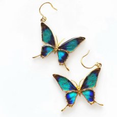 ドクソコパチェルビナ 蝶の翅 シルバー925 ピアス (ゴールド)【Psyche|プシュケ】