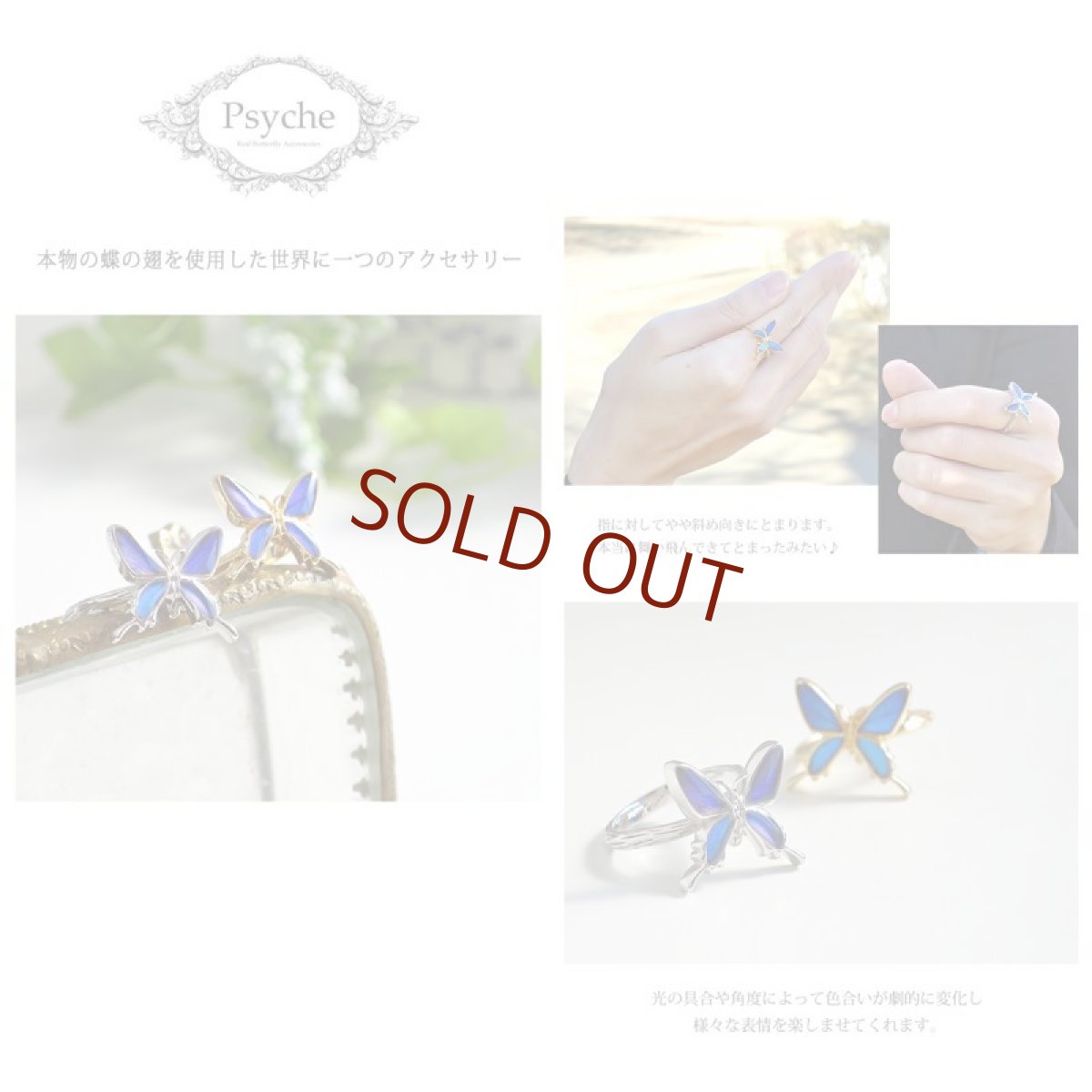 スルコウスキーモルフォ 蝶の翅 シルバー925リング (ゴールド)【Psyche|プシュケ】