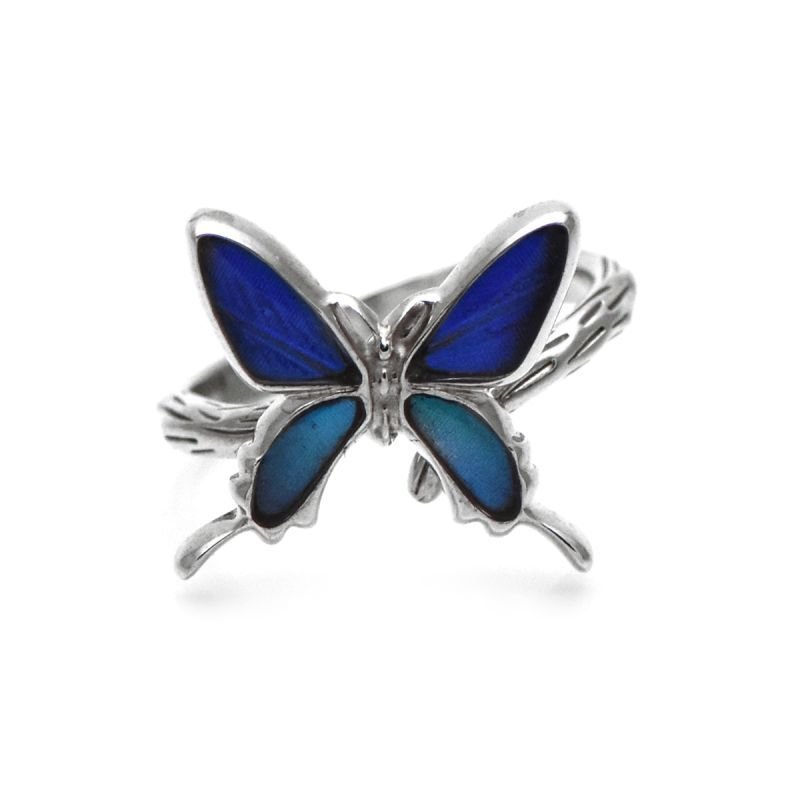 カキカモルフォ/ゼフィリティスモルフォ 蝶の翅 シルバー 925 リング
