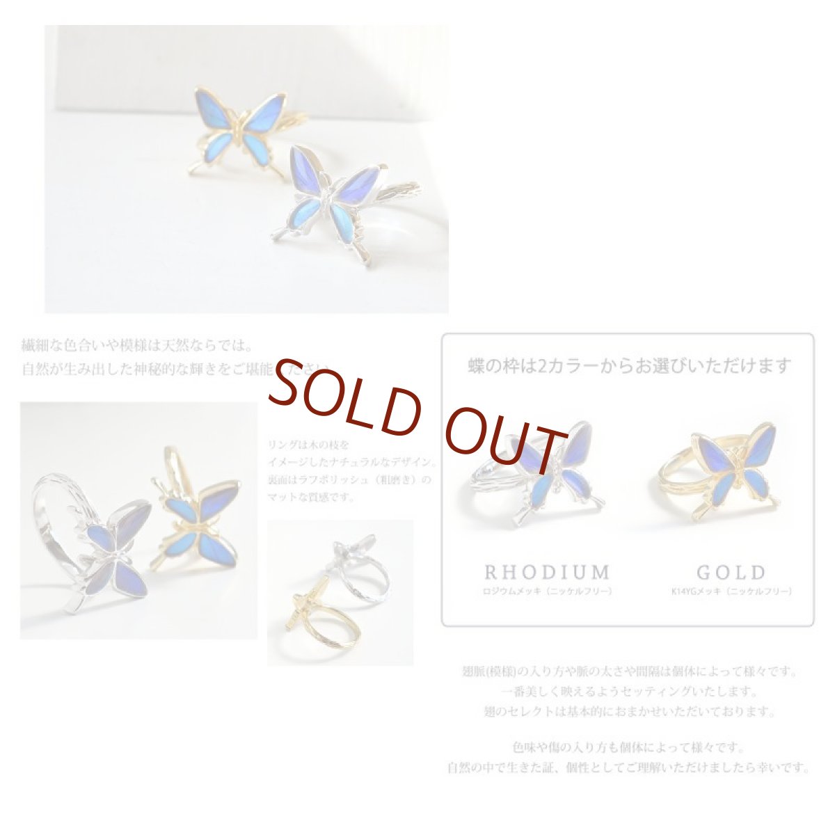 蝶の翅 シルバー925 リング (ゴールド)【Psyche|プシュケ】