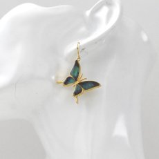 ドクソコパチェルビナ 蝶の翅 シルバー925 ピアス (ゴールド)【Psyche|プシュケ】
