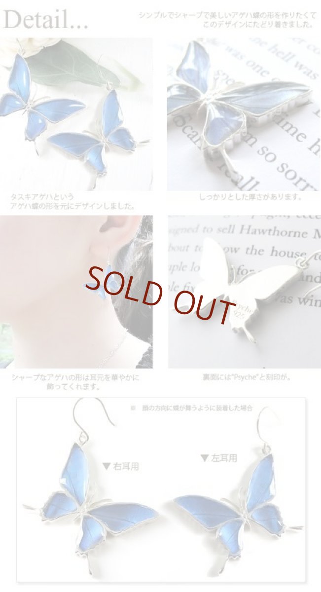 カキカモルフォ 蝶の翅 シルバー925 ピアス【Psyche|プシュケ】