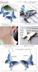 カキカモルフォ 蝶の翅 シルバー925 ピアス【Psyche|プシュケ】
