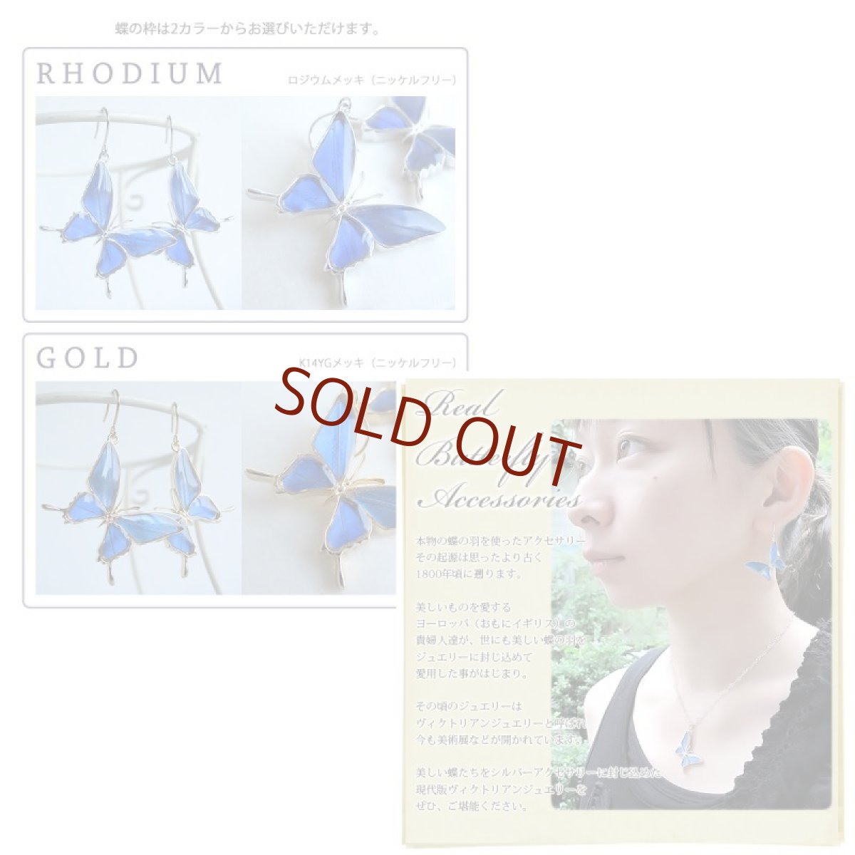 カキカモルフォ 蝶の翅 シルバー925 ピアス【Psyche|プシュケ】