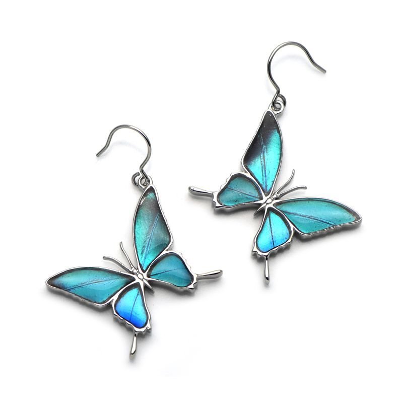 ゼフィリティスモルフォ 蝶の翅 シルバー925 ピアス【Psyche|プシュケ