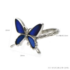 カキカモルフォ 蝶の翅 シルバー 925 リング 【Psyche|プシュケ】