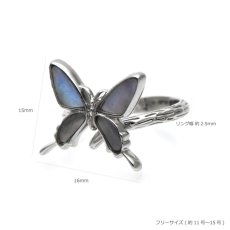 スルコウスキーモルフォ 蝶の翅 シルバー 925 リング 【Psyche|プシュケ】