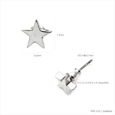 小さな星 スター デザイン シルバー925 ピアス【cooldust | クールダスト】
