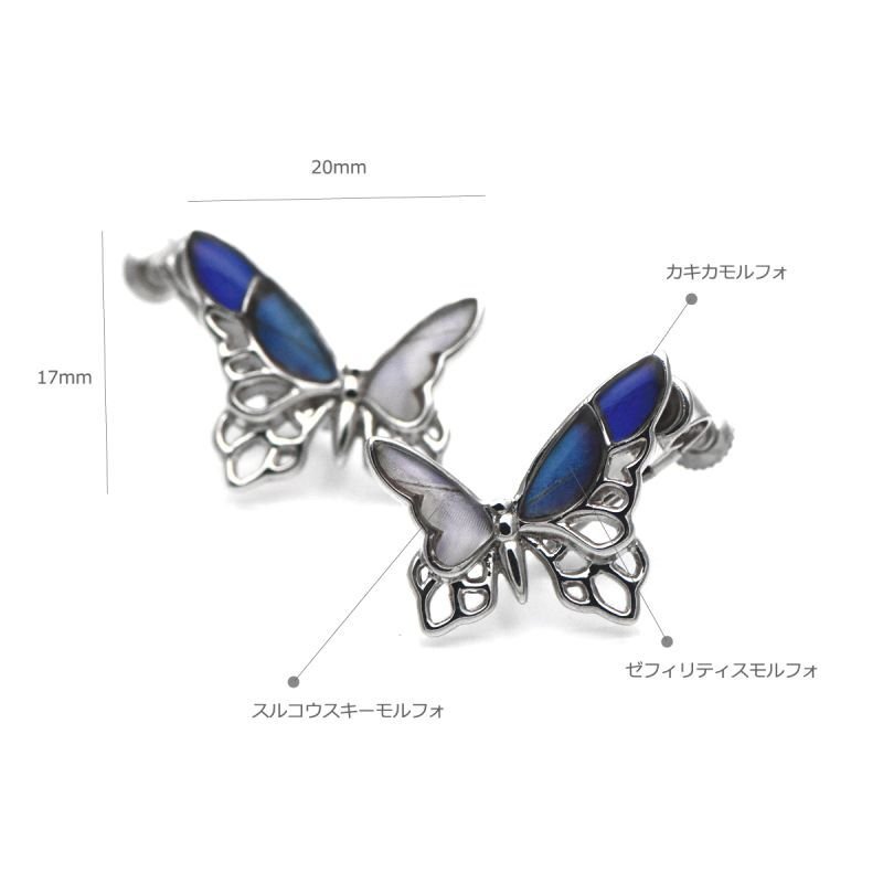 3種のモルフォ蝶 蝶の翅 シルバー925 イヤリング [両耳]【Psyche
