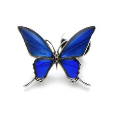 カキカモルフォ 蝶の翅 ラペルピン シルバー925【Psyche|プシュケ】