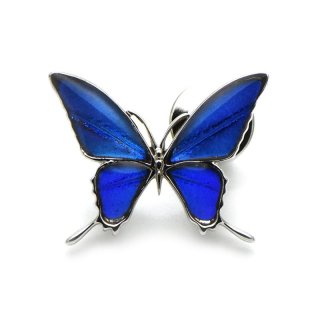 ゼフィリティスモルフォ 蝶の翅 ラペルピン シルバー925 (ゴールド
