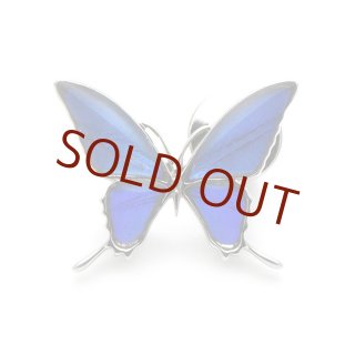 モルフォ蝶10頭 61+jukVizoL._UF350,350_QL50_.jpg