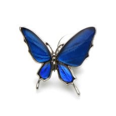 カキカモルフォ 蝶の翅 ラペルピン シルバー925【Psyche|プシュケ】