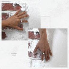 マルチフェイスド デザイン シルバー 925 リング 指輪【LEPUS | レプス】
