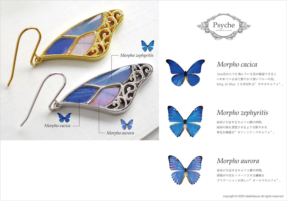 3種の美しいモルフォ 蝶の翅 シルバー925 ピアス [片耳]【Psyche 