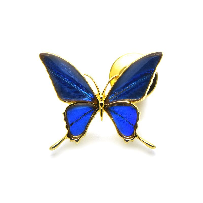カキカモルフォ 蝶の翅 ラペルピン シルバー925 (ゴールド)【Psyche|プシュケ】