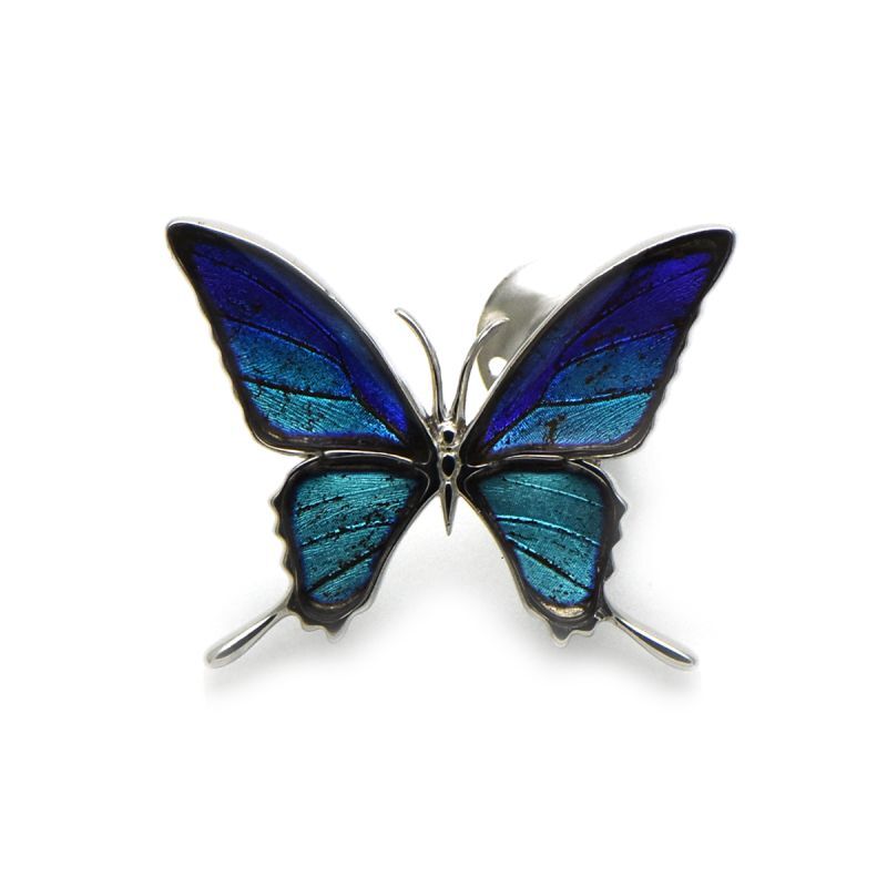 タミラスムラサキシジミ 蝶の翅 ラペルピン シルバー925【Psyche|プシュケ】