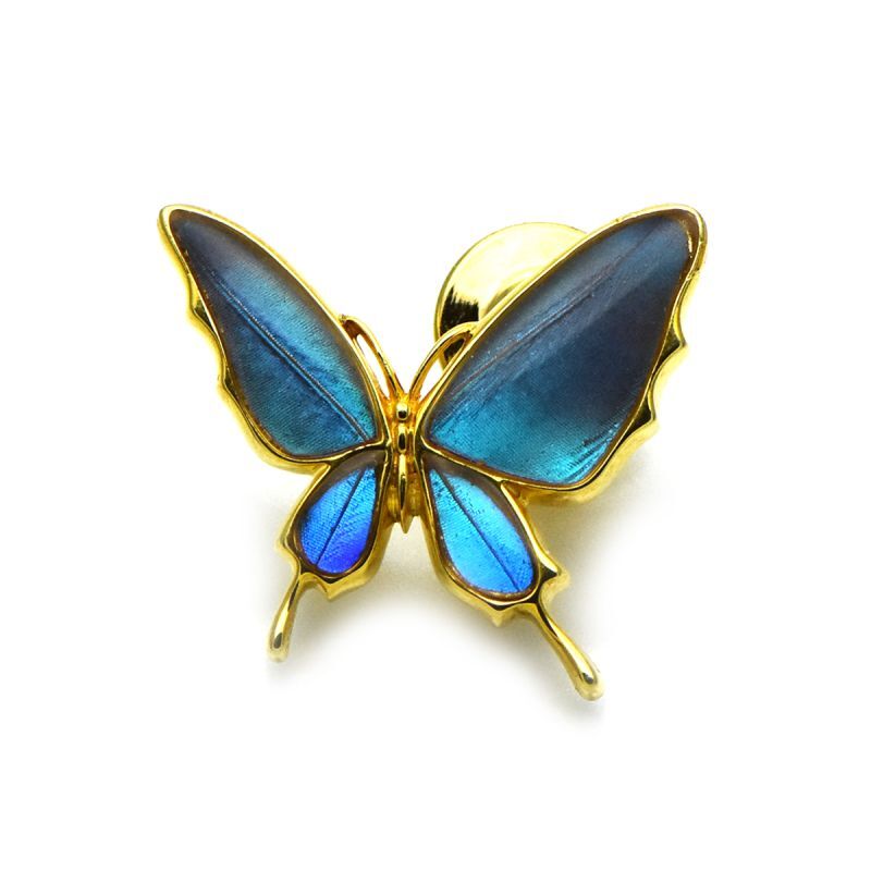 ゼフィリティスモルフォ 蝶の翅 ラペルピン シルバー925 (ゴールド)【Psyche|プシュケ】