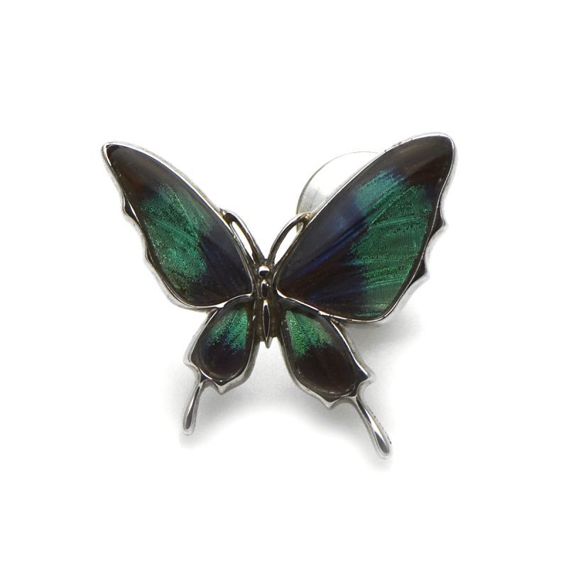 ドクソコパチェルビナ 蝶の翅 ラペルピン シルバー925【Psyche|プシュケ】