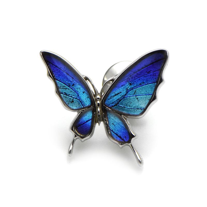 タミラスムラサキシジミ 蝶の翅 ラペルピン シルバー925【Psyche|プシュケ】