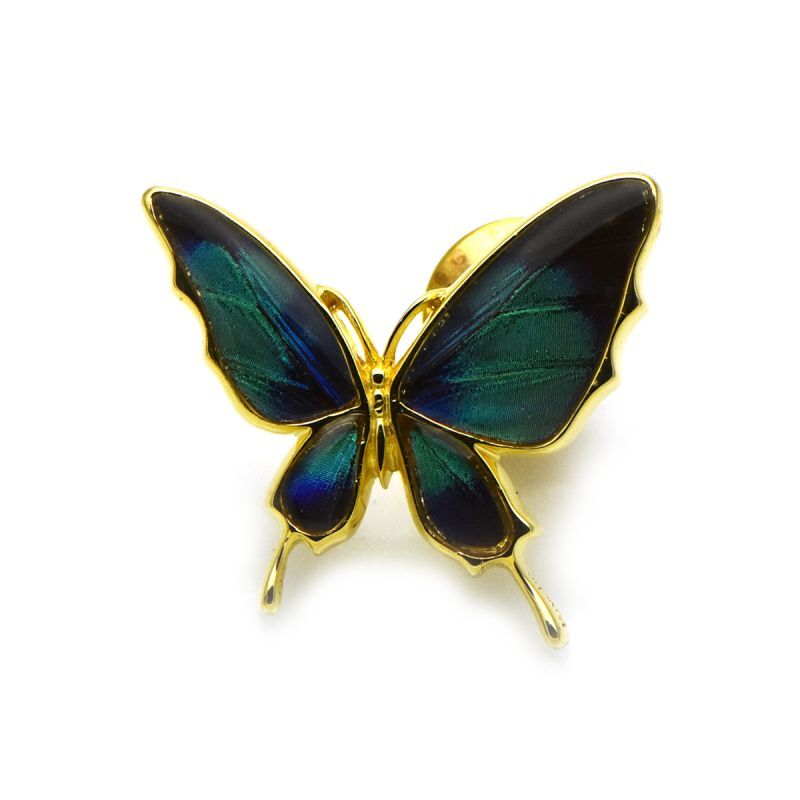 ドクソコパチェルビナ 蝶の翅 ラペルピン シルバー925 (ゴールド)【Psyche|プシュケ】