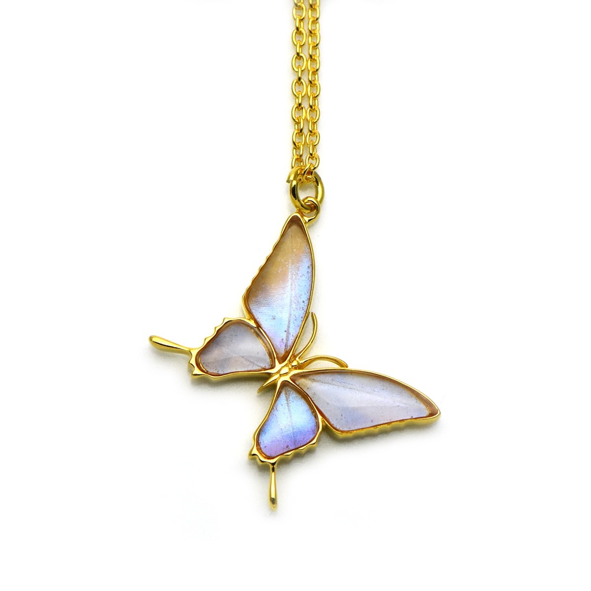 スルコウスキーモルフォ 蝶の翅 シルバー925 ペンダント ネックレス (ゴールド)【Psyche|プシュケ】